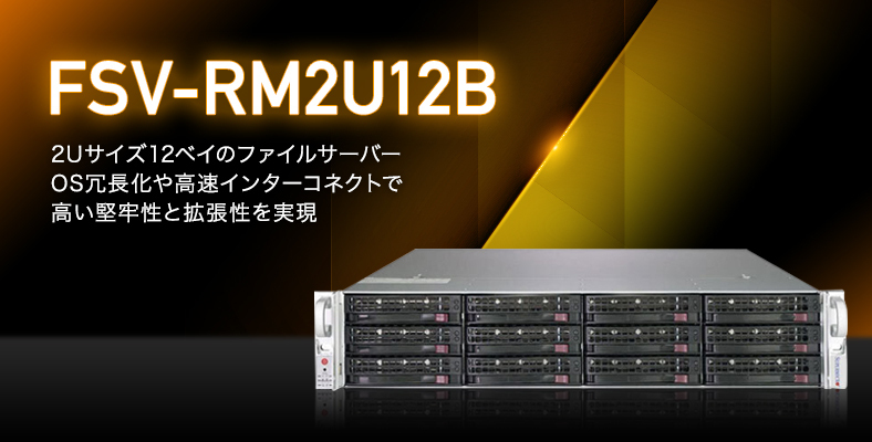 FSV-RM2U12B