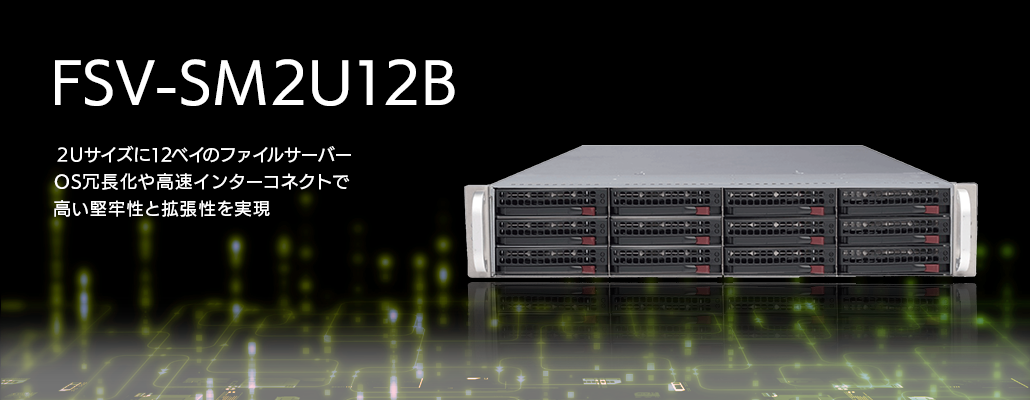 FSV-SM2U12B