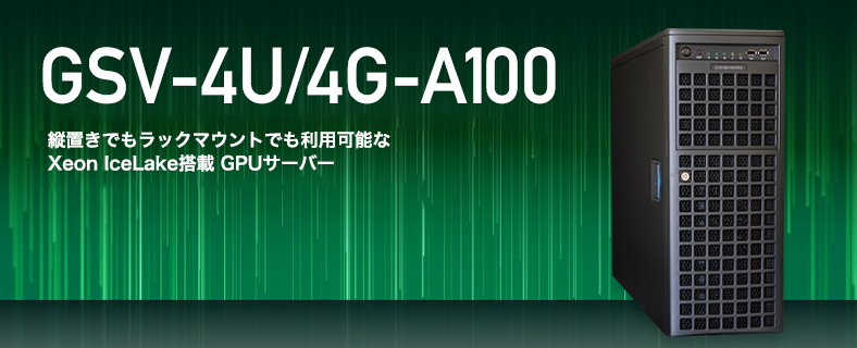 GSV-4U/4G-A100