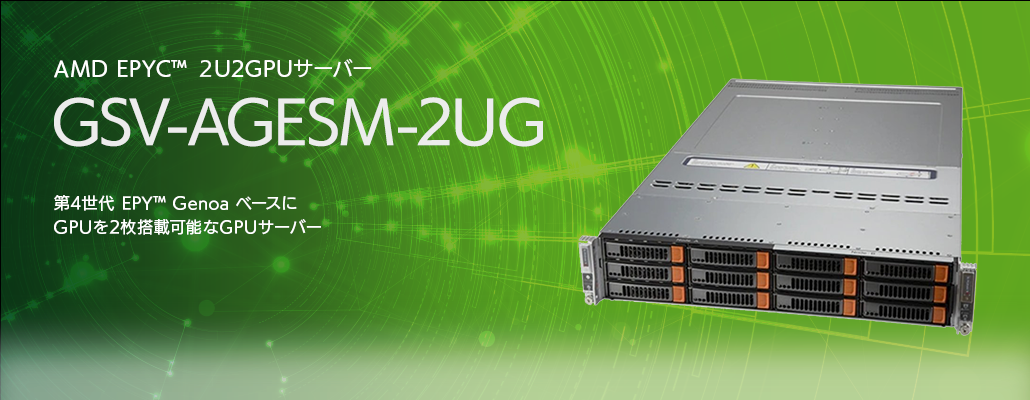 GSV-AGESM-2U2G