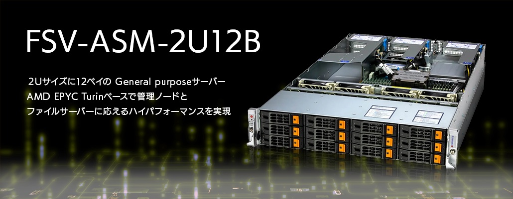 FSV-ASM-2U12B