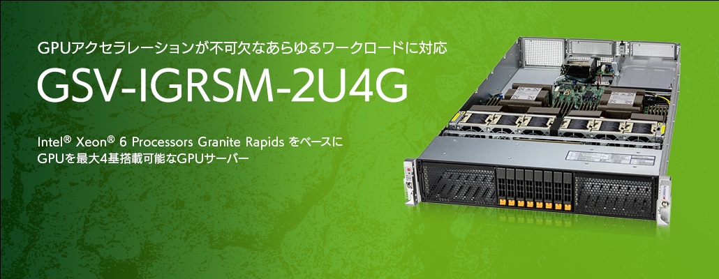 GSV-IGRSM-2U4G