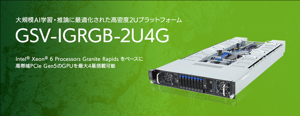 GSV-IGRGB-2U4G
