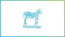 MIPSOLOGY