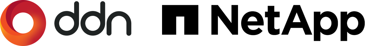 ddn・NetAppアイコン