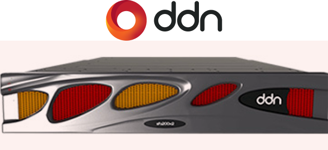 ddn