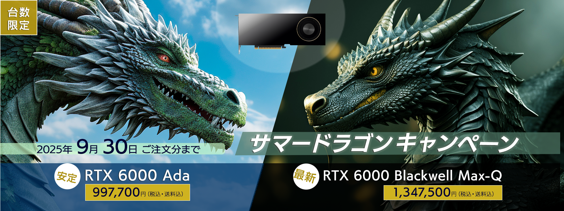 NVIDIA RTXPRO 6000 Blackwell MAX-Q & RTX 6000Ada サマードラゴンキャンペーン